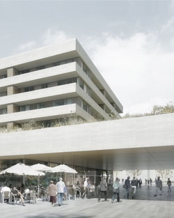 2. Preis im Wettbewerb für den Bau von Wohnungen in Les Grands-Esserts